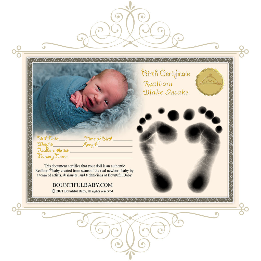 ^*Realborn® Blake Awake (18-19" Reborn Doll Kit)
