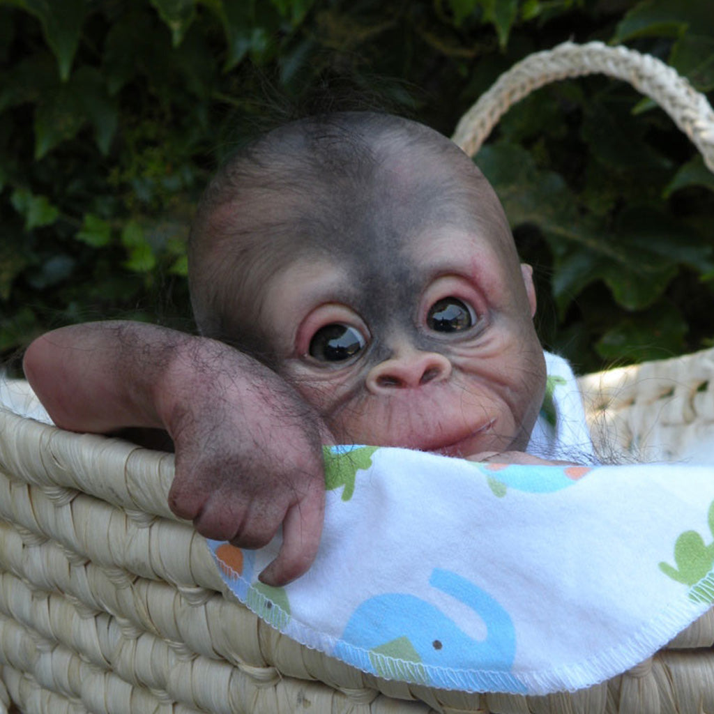 Reborn monkey hot sale kits